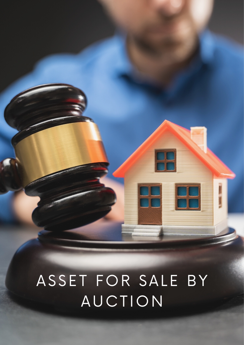 Auction