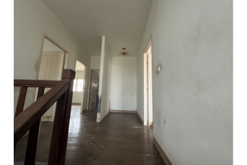 S__102924343_0